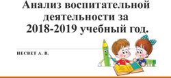 Анализ воспитательной деятельности за 2018-2019 учебный год - НЕСВЕТ А. В.