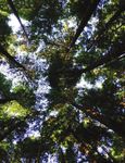 ЭНЕРГЕТИКА И КЛИМАТ - UNCCD Knowledge Hub