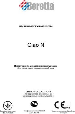 Газовый котел настенный Beretta CIAO 24 С.A.I. N