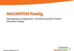 MAGNETOM Family Руководство пользователя - Системы Innovision Audio и Innovision Display - Innovere ...