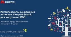 Интеллектуальные решения литиевых батарей SmartLi для модульных ИБП - Хашимов Артур Анатольевич