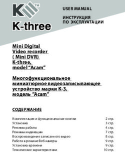 Mini Digital Video recorder ( Mini DVR) K-three, model "Acam"