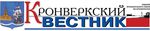 ДЕНЬ ЗАЩИТНИКА ОТЕЧЕСТВА - МО КРОНВЕРКСКОЕ