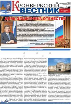 ДЕНЬ ЗАЩИТНИКА ОТЕЧЕСТВА - МО КРОНВЕРКСКОЕ