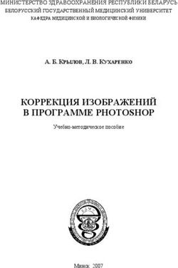 КОРРЕКЦИЯ ИЗОБРАЖЕНИЙ В ПРОГРАММЕ PHOTOSHOP - МИНИСТЕРСТВО ЗДРАВООХРАНЕНИЯ РЕСПУБЛИКИ БЕЛАРУСЬ