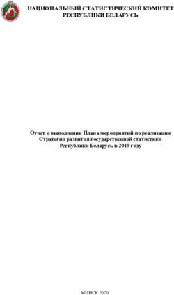 НАЦИОНАЛЬНЫЙ СТАТИСТИЧЕСКИЙ КОМИТЕТ РЕСПУБЛИКИ БЕЛАРУСЬ - Отчет о выполнении Плана мероприятий по реализации Стратегии развития государственной ...