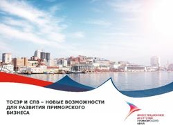 ТОСЭР И СПВ - НОВЫЕ ВОЗМОЖНОСТИ ДЛЯ РАЗВИТИЯ ПРИМОРСКОГО БИЗНЕСА