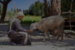 Программа молитвенной недели 2020 - ИИСУС ХРИСТОС СКАЗАЛ О СЕБЕ: "Я ЕСМЬ "