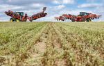 Pотор vs лента - AGROREPORT