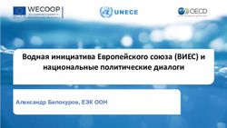 Водная инициатива Европейского союза (ВИЕС) и национальные политические диалоги - Александр Белокуров, ЕЭК ООН - WECOOP