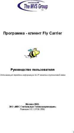 Программа - клиент Fly Carrier - Руководство пользователя Москва 2005. ЗАО "МВС Глобальные Телекоммуникации"