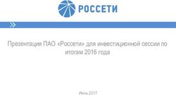 Презентация ПАО "Россети" для инвестиционной сессии по итогам 2016 года