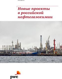 Новые проекты в российской нефтегазохимии - www.pwc.ru