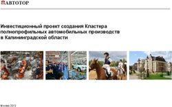 АВТОТОР Инвестиционный проект создания Кластера полнопрофильных автомобильных производств в Калининградской области