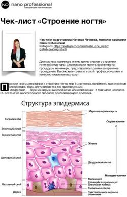 Чек-лист "Строение ногтя" - Nano Professional