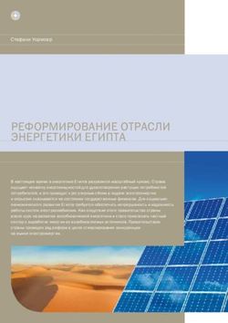 РЕФОРМИРОВАНИЕ ОТРАСЛИ ЭНЕРГЕТИКИ ЕГИПТА - EBRD