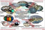 Ход реализации "Плана сотрудничества" из 8 пунктов Июль 2019 г - Посольство Японии в ...