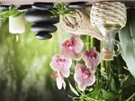 ПЕРСОНАЛ ДЛЯ ИНДУСТРИИ КРАСОТЫ И SPA