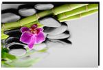 ПЕРСОНАЛ ДЛЯ ИНДУСТРИИ КРАСОТЫ И SPA