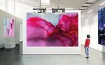 Обзор продукции Sharp NEC Display Solutions - Sharp NEC Display Solutions Europe
