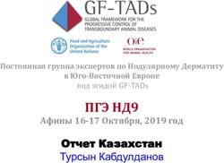 ПГЭ НД9 Отчет Казахстан Турсын Кабдулданов - Афины 16-17 Октября, 2019 год - OIE
