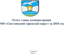 Отчет главы администрации МО "Светловский городской округ" за 2018 год - г. Светлый