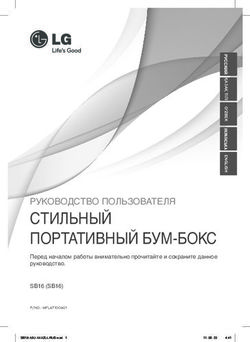 СТИЛЬНЫЙ ПОРТАТИВНЫЙ БУМ-БОКС - РУКОВОДСТВО ПОЛЬЗОВАТЕЛЯ