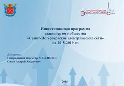 Инвестиционная программа акционерного общества "Санкт-Петербургские электрические сети" на 2015-2019 гг - Докладчик: Генеральный директор АО "СПб ...
