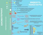 АЛЛЕРГИЧЕСКИЕ РЕАКЦИИ В ОРТОПЕДИЧЕСКОЙ СТОМАТОЛОГИИ - Минск БГМУ 2018