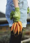 План действий в области пищевых продуктов и питания на 2015-2020 гг - WHO ...