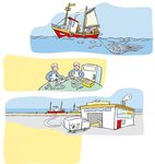 Рыба - для гибкости и бодрости