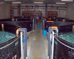 Применения системы HydroFLOW в бассейнах Hydroflow - система водоподготовки. www.h-flow.com.ua