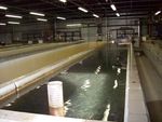 Применения системы HydroFLOW в бассейнах Hydroflow - система водоподготовки. www.h-flow.com.ua