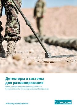 Детекторы и системы для разминирования - Searching with Excellence Мины, самодельные взрывные устройства, боевые элементы и неразорвавшиеся ...