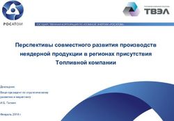 Перспективы совместного развития производств неядерной продукции в регионах присутствия Топливной компании - Правительство Иркутской области
