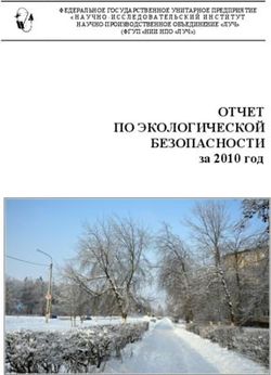 ОТЧЕТ ПО ЭКОЛОГИЧЕСКОЙ БЕЗОПАСНОСТИ - за 2010 год