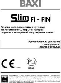 Газовые напольные котлы с чугунным теплообменником, закрытой камерой сгорания и электронной модуляцией пламени