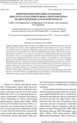 МОРФОМЕТРИЯ И ПИТАНИЕ СЕГОЛЕТКОВ - PERCCOTTUS GLENII (PERCIFORMES, ODONTOBUTIDAE)