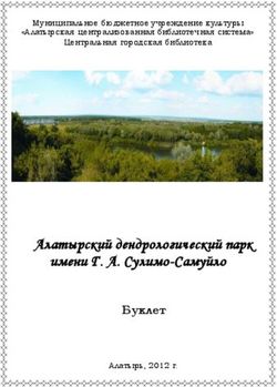 Алатырский дендрологический парк имени Г. А. Сулимо-Самуйло - Буклет