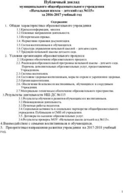 Публичный доклад муниципального общеобразовательного учреждения "Начальная школа - детский сад 115" за 2016-2017 учебный год