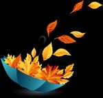 Книжные новинки осени - МБУ "Кандалакшская централизованная библиотечная система" Центральная библиотека - Главная
