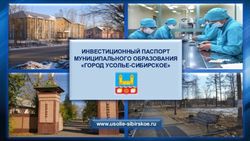 ИНВЕСТИЦИОННЫЙ ПАСПОРТ МУНИЦИПАЛЬНОГО ОБРАЗОВАНИЯ "ГОРОД УСОЛЬЕ-СИБИРСКОЕ" - www.usolie-sibirskoe.ru - администрации города Усолье ...