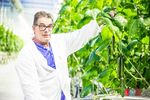 ИНВЕСТИЦИОННОЕ ПРЕДЛОЖЕНИЕ - СТРОИТЕЛЬСТВО ЭКОЛОГИЧЕСКОГО ОТХОДОПЕРЕРАБАТЫВАЮЩЕГО КОМПЛЕКСА ПО ПРОИЗВОДСТВУ БИОУДОБРЕНИЙ НА ТЕРРИТОРИИ ВОРОНЕЖСКОЙ ...