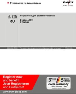 RU Руководство по эксплуатации Устройство для размагничивания Degauss 600 - RT DGS1