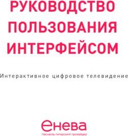 РУКОВОДСТВО ПОЛЬЗОВАНИЯ ИНТЕРФЕЙСОМ - Интерактивное цифровое телевидение - Енева