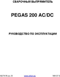 PEGAS 200 AC/DC СВАРОЧНЫЙ ВЫПРЯМИТЕЛЬ РУКОВОДСТВО ПО ЭКСПЛУАТАЦИИ - ALFA IN a.s.