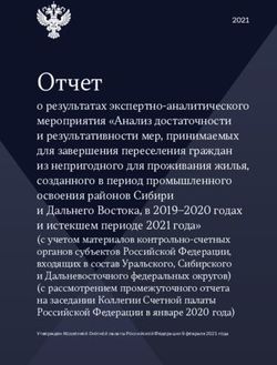 Отчет - Счетная палата Российской Федерации