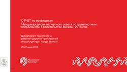 ОТЧЕТ по проведению Международного экспертного совета по транспортным вопросам при Правительстве Москвы, 2018 год - Департамент транспорта и ...
