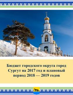 Бюджет городского округа город Сургут на 2017 год и плановый период 2018 - 2019 годов - Администрация города Сургута