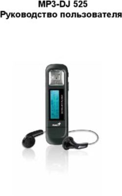 MP3-DJ 525 Руководство пользователя